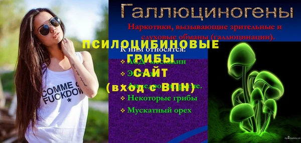 дмт Алзамай