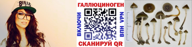 Галлюциногенные грибы мицелий  Апатиты 